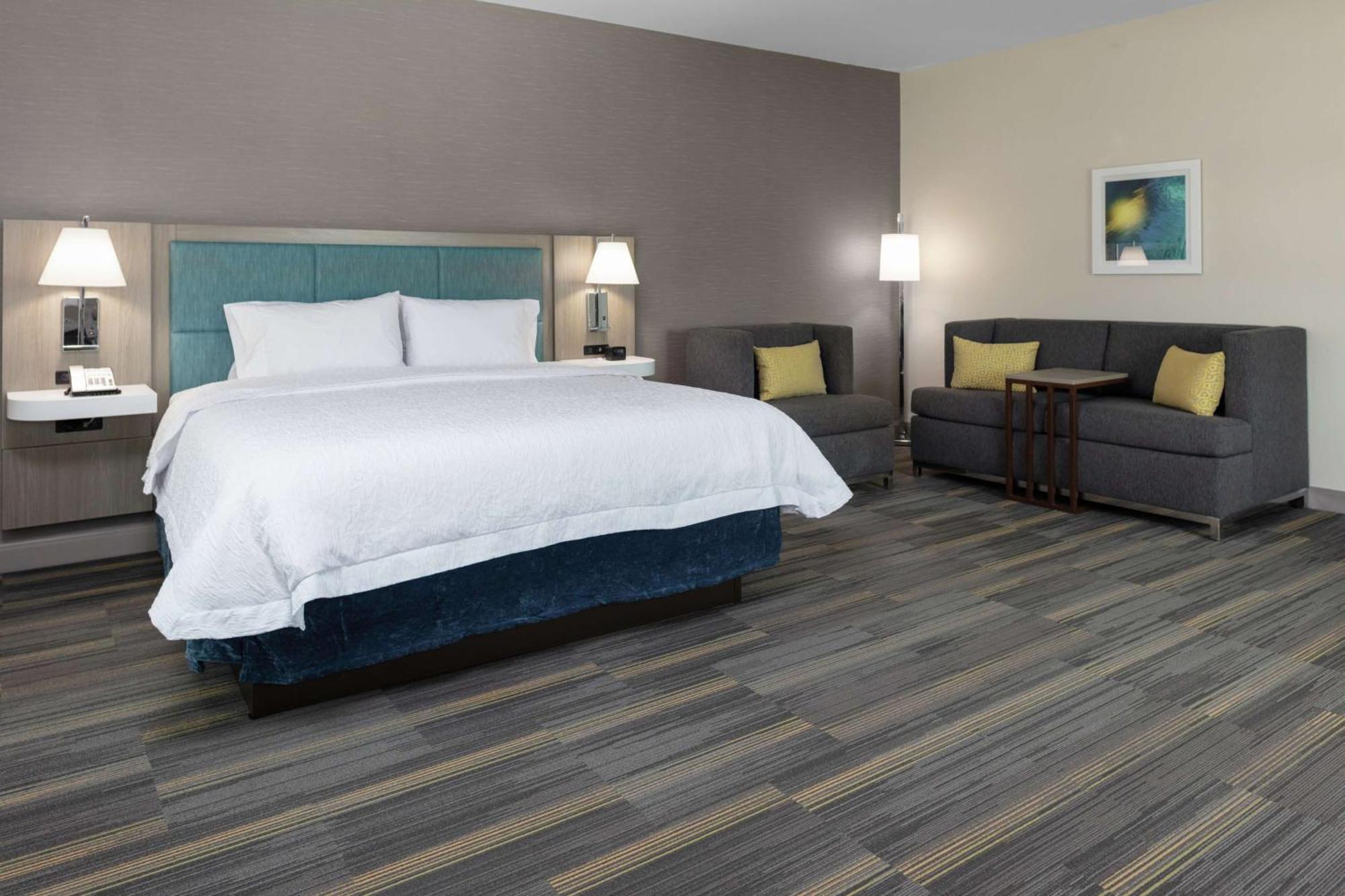 Hampton Inn Dunedin, Fl Bagian luar foto
